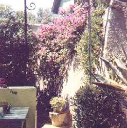 Deuxi&egrave;me terrasse,les Bougainvill�es - Photo: Marzina